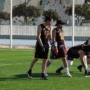 Recta final para los Córdoba Bulls